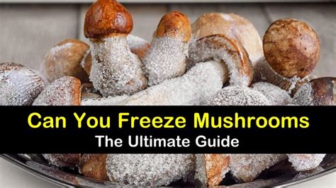 Freezing Mushrooms The Ultimate Guide