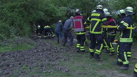 Dramatische Rettungsaktion Feuerwehr Zieht Pferd Aus Schlammigem Graben