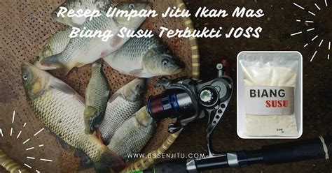 Resep Umpan Jitu Ikan Mas Biang Susu Terbukti Joss Jual Aquatic Essen