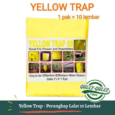 Jual YELLOW TRAP Perangkap Serangga Kutu Lalat Buah Hama Tanaman Bunga