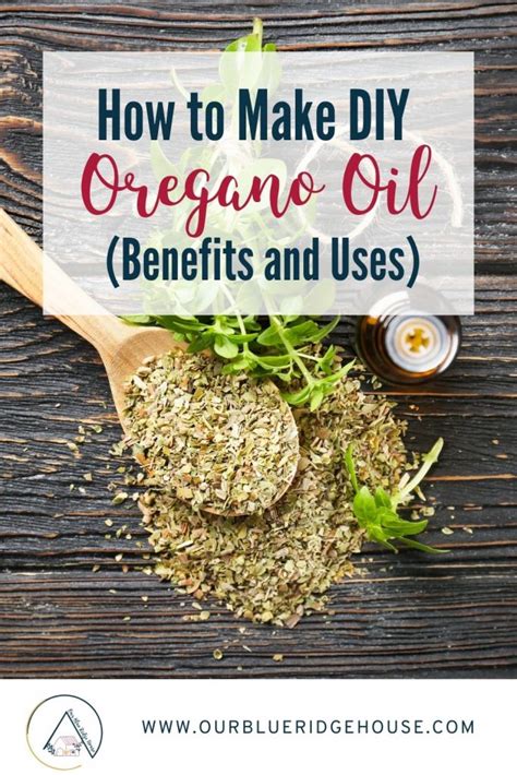 How To Make Diy Oregano Oil Benefits And Uses Our Blue Ridge House