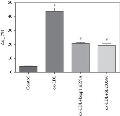 Nrf2 Mediated Ox LDL Induced EPC Oxidative Stress And Mitochondrial