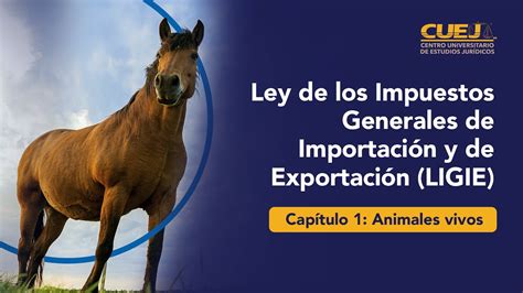 Ley de los impuestos generales de importación y exportación LIGIE