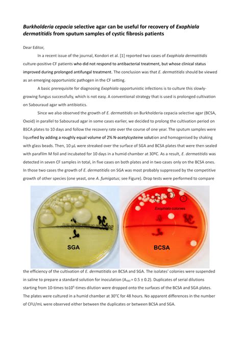 Pdf Burkholderia Cepacia Selective Agar Can Be Useful For Recovery Of