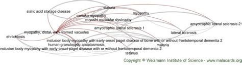 Myopathy Distal With Rimmed Vacuoles Disease Malacards Research