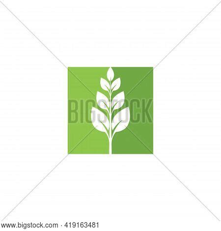 Eco Icon Green Leaf Vector Photo Free Trial Bigstock