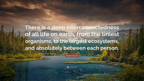 Bryant Mcgill Quote There Is A Deep Interconnectedness Of All Life On