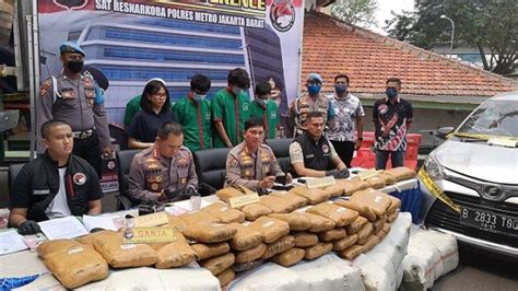 Polres Metro Jakarta Barat Gagalkan Penyelundupan 304 Kilogram Ganja