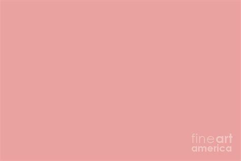 Medium Pink Solid Color Pairs Roseberry DE5122 2024 Trending Shade