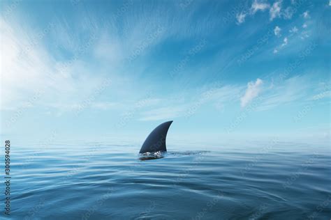 shark fin on surface of ocean agains blue cloudy sky Stock Photo | Adobe Stock