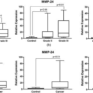 The Expression Of Membrane Associated Mmps In Breast Cancer And In