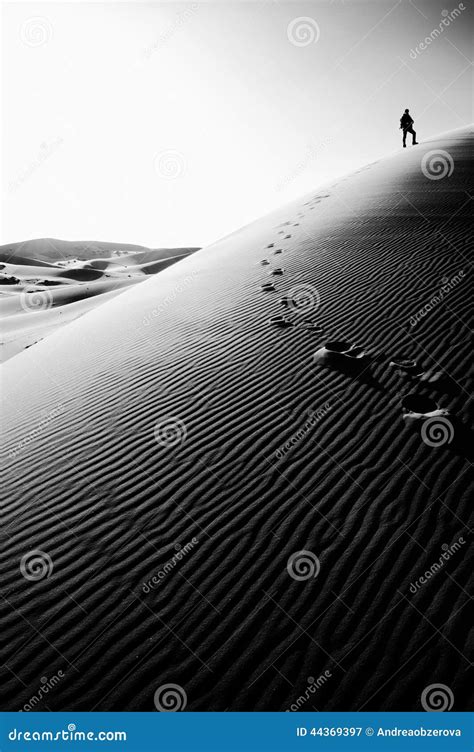 Person Standing On Top Of A High Sand Dune In Sahara Morocco Stock