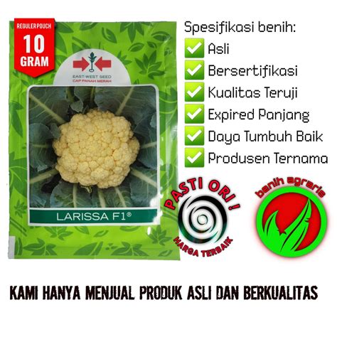 Jual Benih Bunga Kol Larissa F Gr Cap Panah Merah Bungkol Brokoli