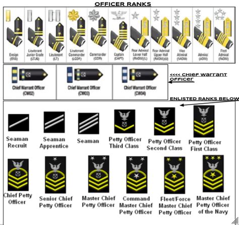 Navy Ranks Knowledge Test Diagram | Quizlet