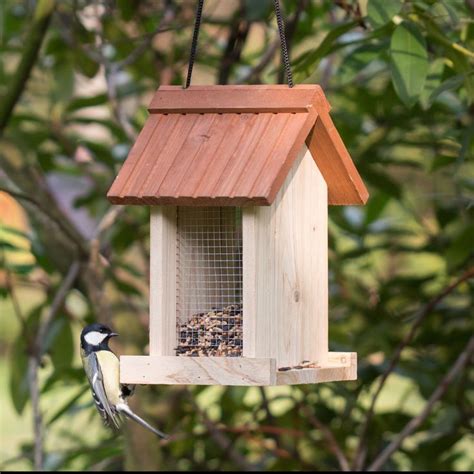 A Bird Feeder Hanging From A Tree Filled With Birds