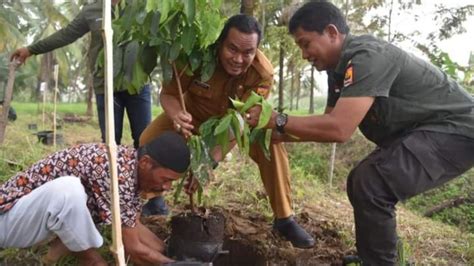 Desa Rambai Memimpin Program Penghijauan Kota Pariaman Untuk Keberlanjutan