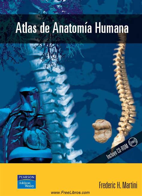 Atlas Da Anatomia Humana Braincp