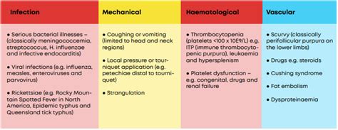 Non Blanching Rashes Module - Don't Forget the Bubbles