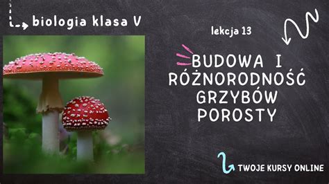 Biologia klasa 5 Lekcja 13 Budowa i różnorodność grzybów Porosty