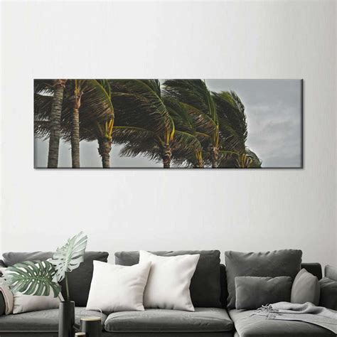 Storm Swept Palm Trees Wall Art | Photography