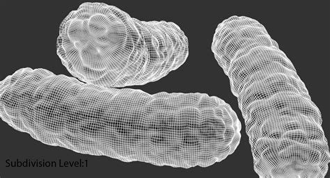 Burkholderia cepacia bacteria model - TurboSquid 1295559