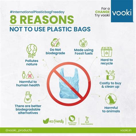 The Environmental Impact Of Plastic Bags