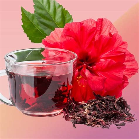 Hibiscus Grownmedz