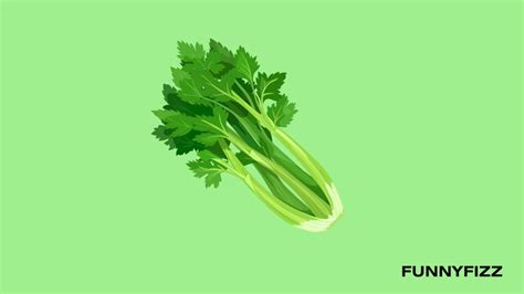 30 Celery Puns