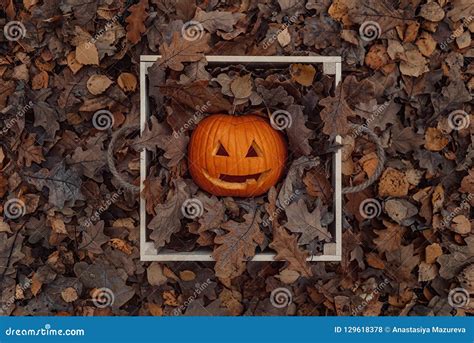 Halloween Pumpkin In The Box Autumn And Fallen Leaves Kind Pumpkin