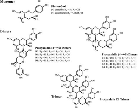 Chemical Structures Of Procyanidin Monomers Dimers And Trimers