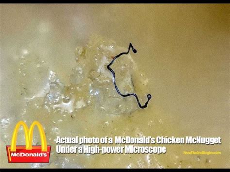 Mcdonald S Chicken Mcnuggets Found To Contain Mysterious Fibers Wuc News