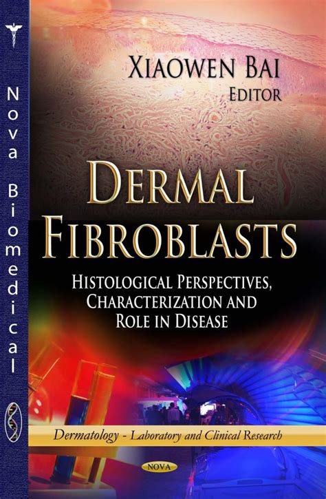 Dermal Fibroblasts Histological Perspectives Characterization And