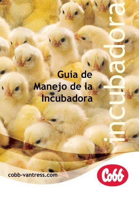 Gu A De Manejo De La Incubadora Cobb