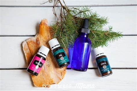 DIY Beard Oil Recipe - Don’t Mess with Mama