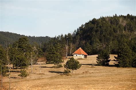 Small House In Landscape With Field And Forest Del Colaborador De