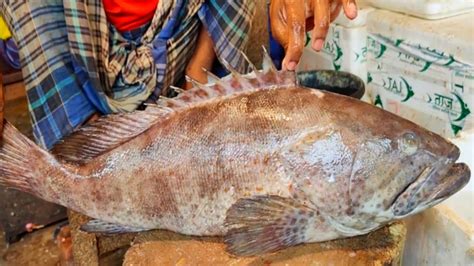 Amazing Giant Hamour Fish Cutting Skinning Skills Dhaka Fish Market