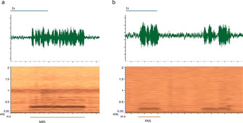 Oscillogram Above And Spectrogram Below Of Gw Vibrational Signals