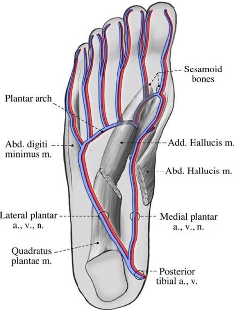 Foot Pain Caused By Plantar Vein Thrombosis Charter Radiology