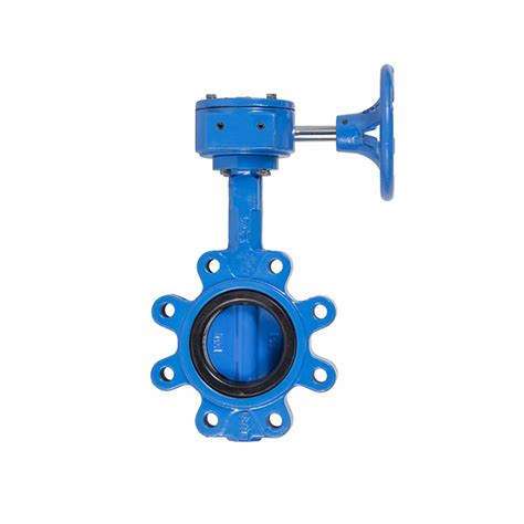 Ductile Cast Iron Lugged Type Wafer Control Butterfly Valve China