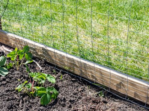 Temporary Garden Fencing: Everything You Need To Know | TTFS