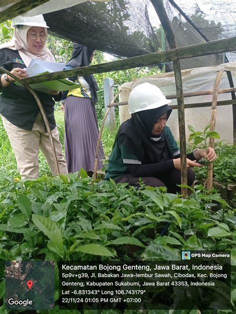 BPSBP Balai Pengawasan Dan Sertifikasi Benih Perkebunan