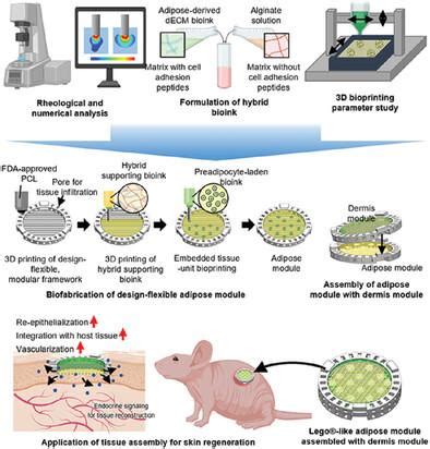 D Bioprinting Assisted Tissue Assembly Of Endocrine Adipose Units For