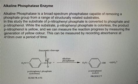 Solved Alkaline Phosphatase Enzyme Alkaline Phosphatase Is A Chegg