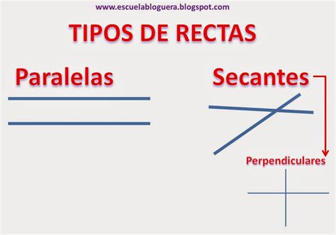 Aprobar Primaria Tipos De Líneas