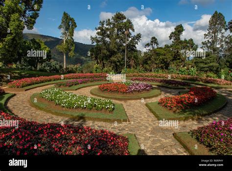 Haggala Botanical Gardens Nuwara Eliya Sri Lanka Stock Photo Alamy