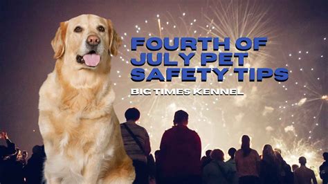 Fourth Of July Pet Safety Tips Big Times Kennel