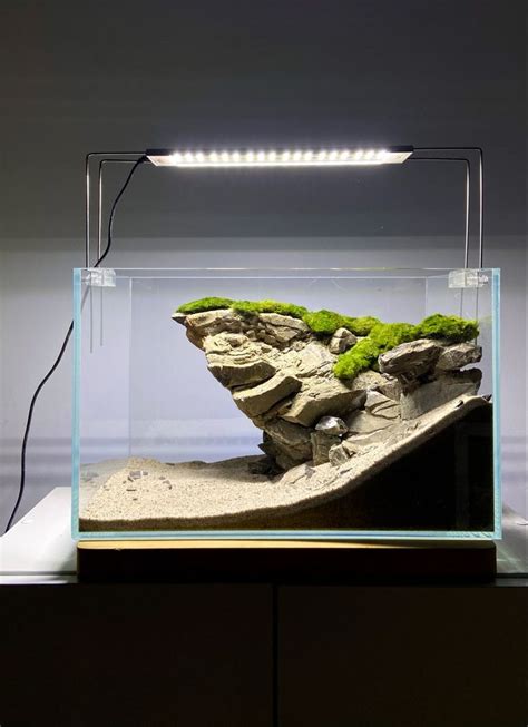 Wystr J Akwarium S Odkowodnego Aquarium Design Aquascape Design