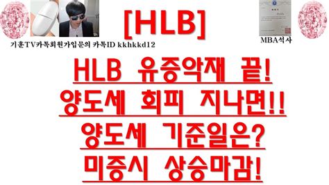 주식투자 Hlbhlb 유증악재 끝양도세 회피 지나면양도세 기준일은미증시 상승마감 Youtube