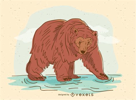 Oso Pardo