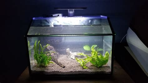 Aqueon Designer Shrimp Aquarium Setup YouTube